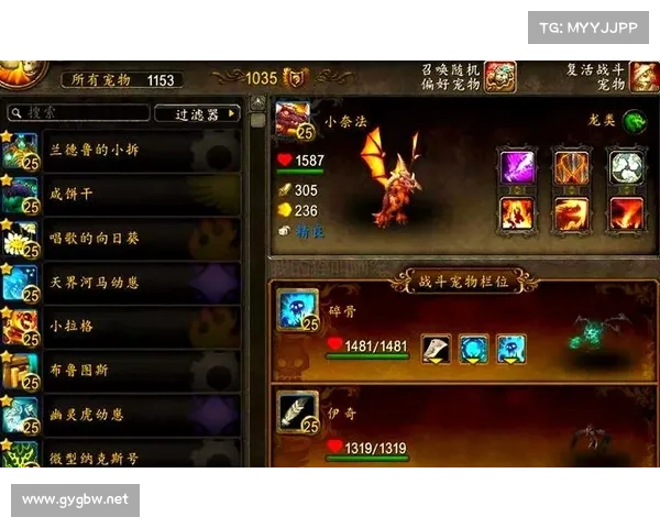 魔兽世界15周年坐骑装备攻略：快速获取秘籍